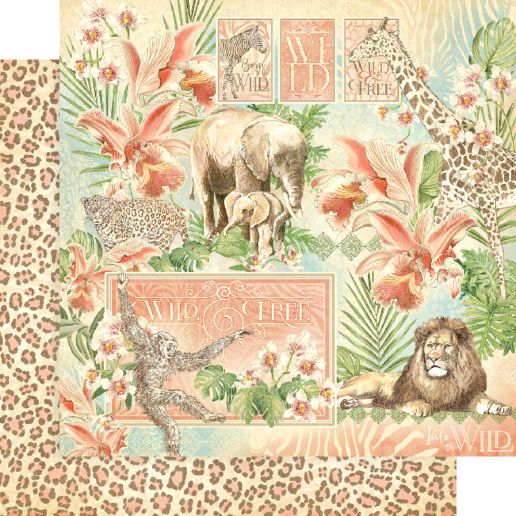 Wild and Free 12x12 Collection