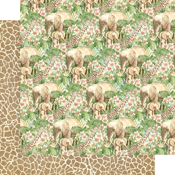 Wild and Free 12x12 Collection