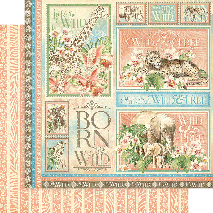 Wild and Free 12x12 Collection