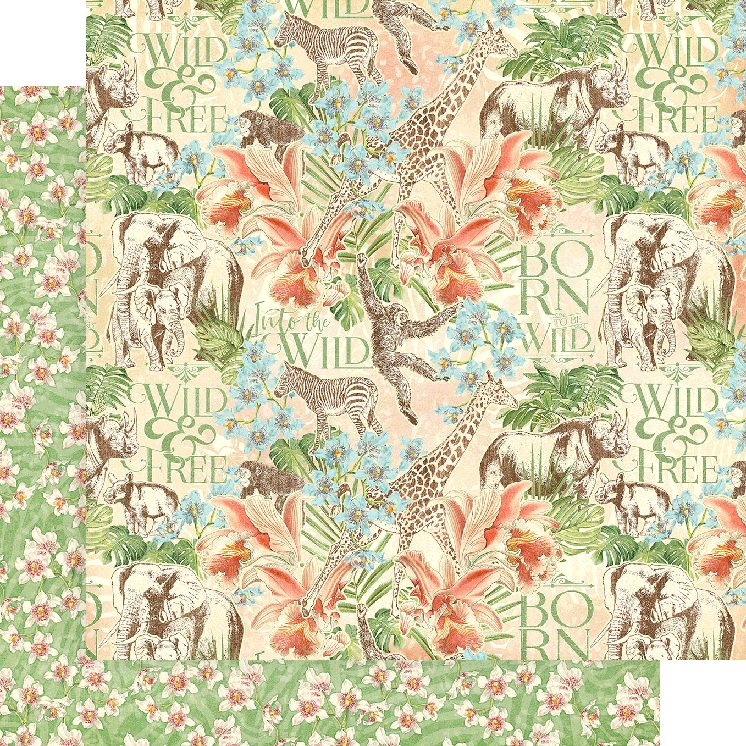 Wild and Free 12x12 Collection