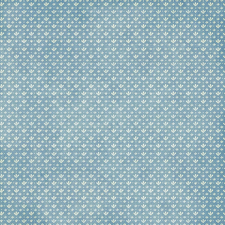 Make a Wish 12x12 Single Sheet