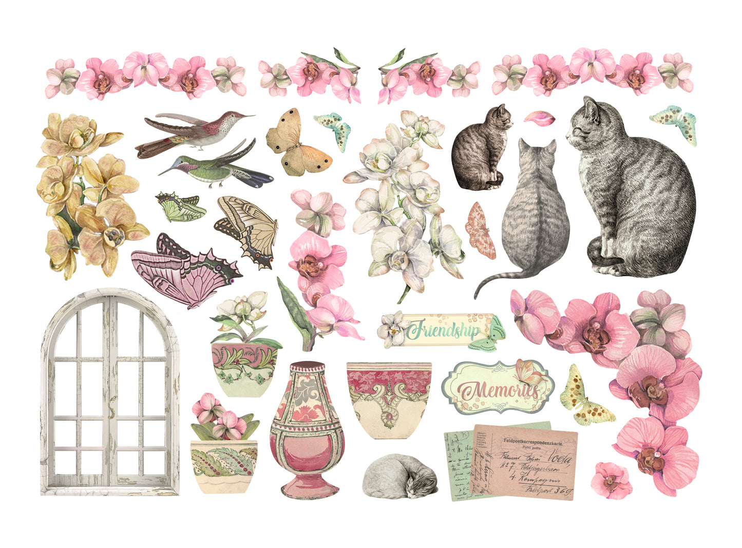 Orchids and Cats Ephemera