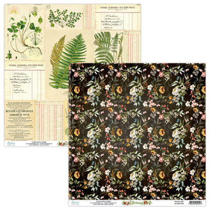 Botany 12”x12” Paper Set