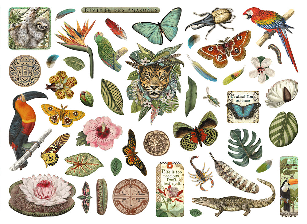 Amazonia Cardboard Die-Cuts